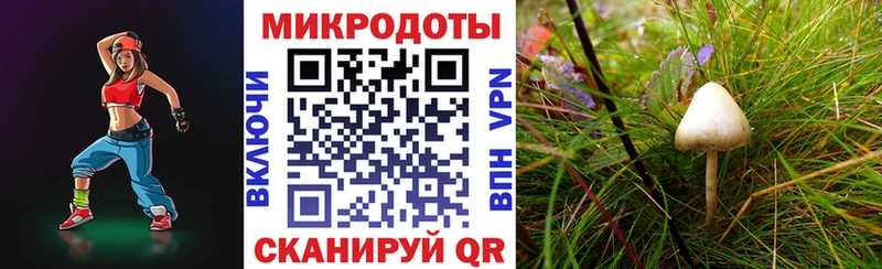 Галлюциногенные грибы ЛСД  купить закладку  Шиханы 
